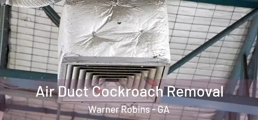Air Duct Cockroach Removal Warner Robins - GA