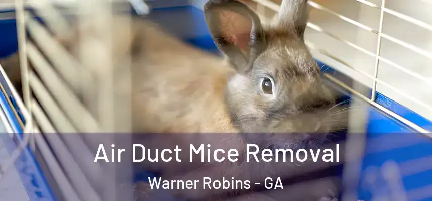 Air Duct Mice Removal Warner Robins - GA