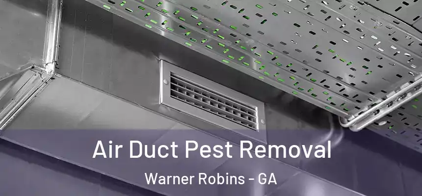 Air Duct Pest Removal Warner Robins - GA