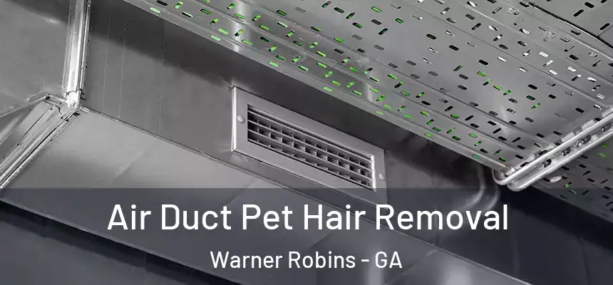 Air Duct Pet Hair Removal Warner Robins - GA