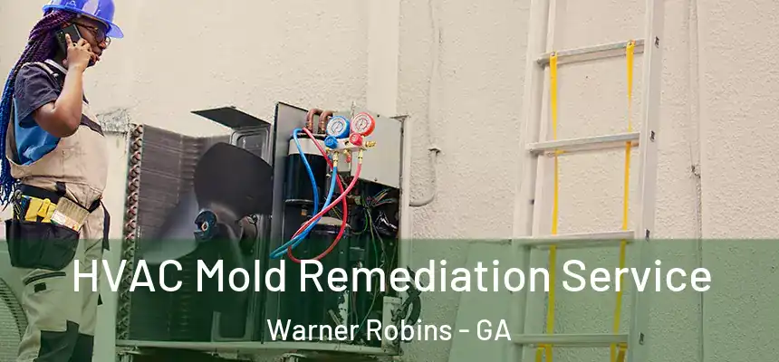 HVAC Mold Remediation Service Warner Robins - GA
