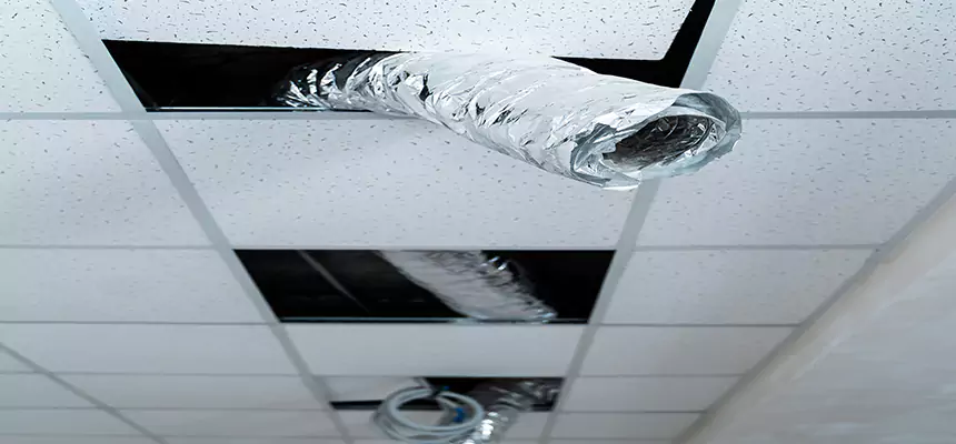 Affordable HVAC Sanitizing After Pest Removal in Warner Robins