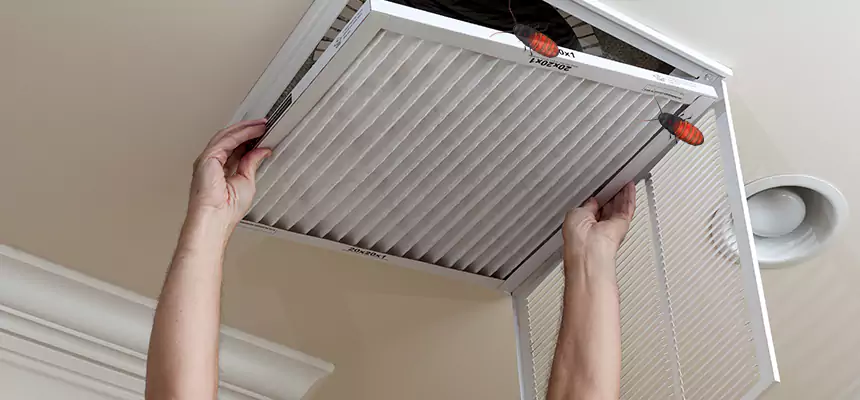 Our Insect Removal from Air Ducts Services in Warner Robins, GA