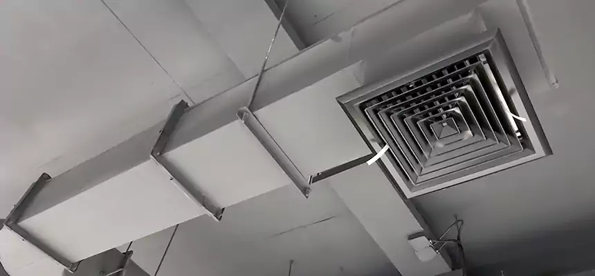 Our Pest Removal From Ducts Services in Warner Robins, GA