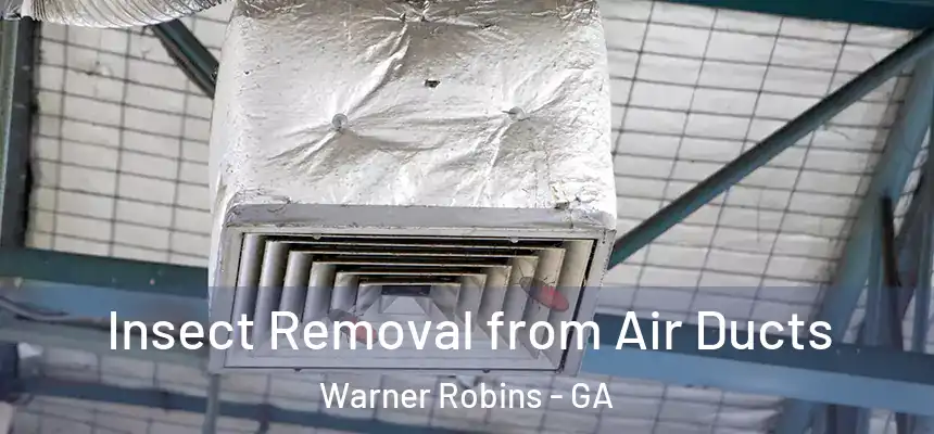 Insect Removal from Air Ducts Warner Robins - GA