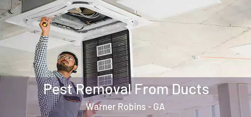 Pest Removal From Ducts Warner Robins - GA
