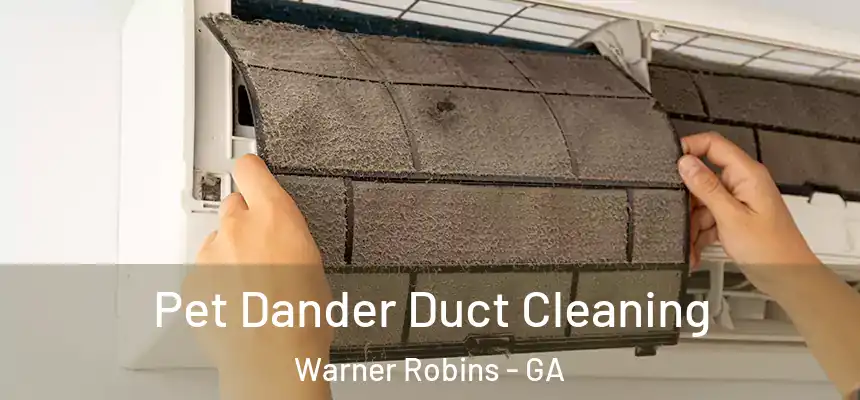 Pet Dander Duct Cleaning Warner Robins - GA