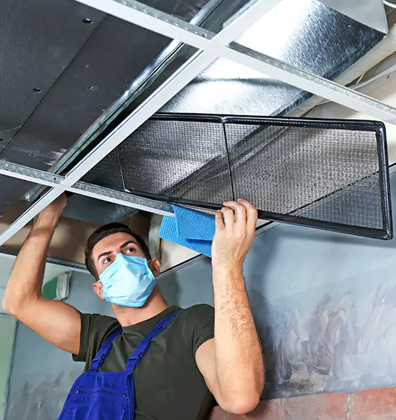 About Air Duct Bacteria Removal in Warner Robins