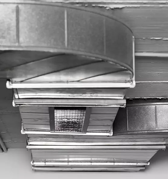 Professional Air Duct Pest Removal in Warner Robins, GA