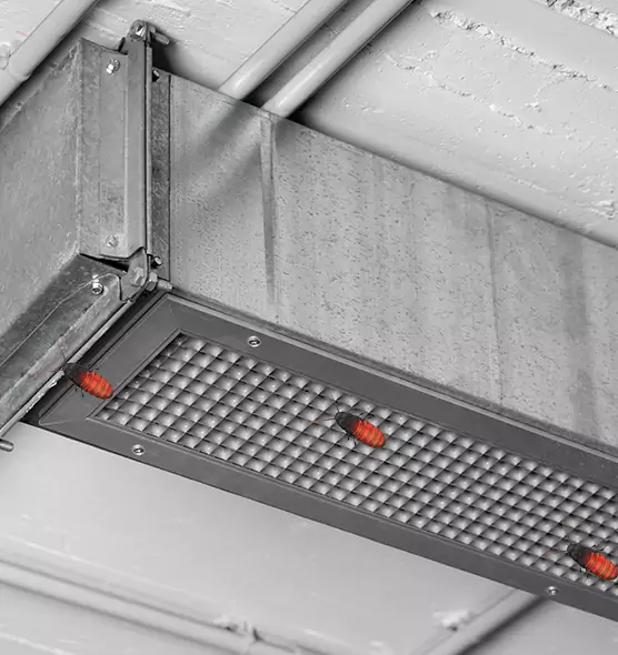 Affordable Insect Removal from Air Ducts in Warner Robins, GA