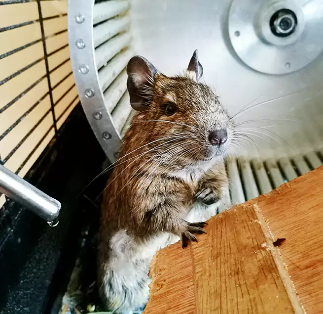 Why Homeowners & Businesses Trust Us Warner Robins, GA