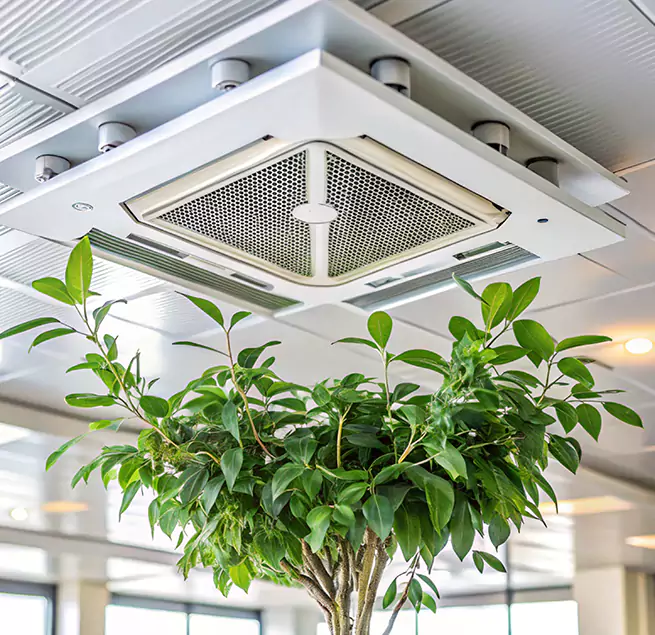 Why Homeowners & Businesses Trust Us in Warner Robins, GA?