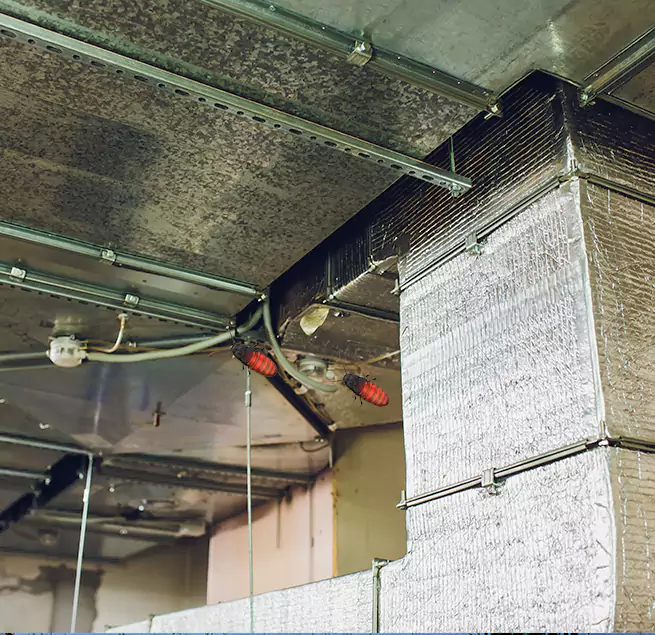 Why Homeowners & Businesses Trust Us Warner Robins, GA?